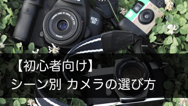 草むらにおいたカメラ