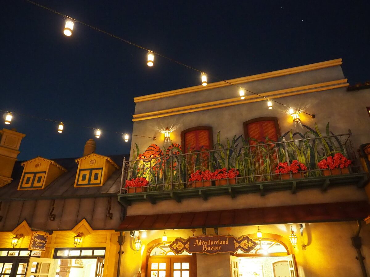 ディズニーの夜の風景