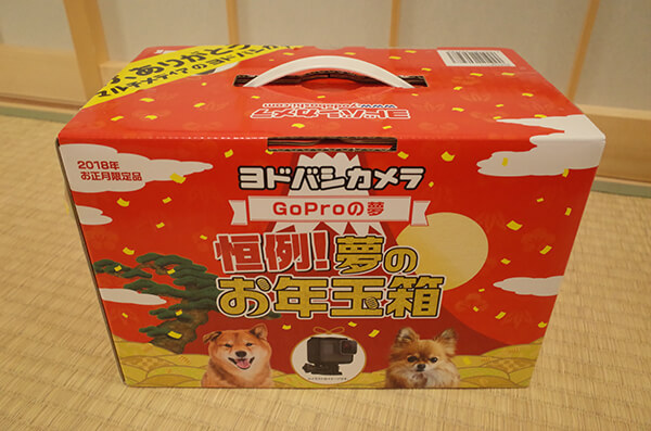GoProの夢
