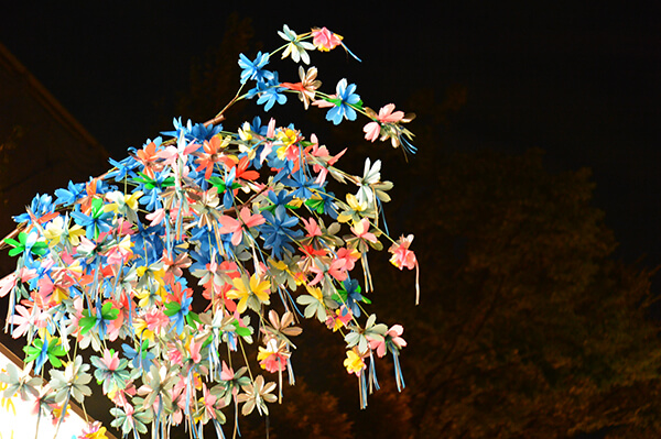 夜の花